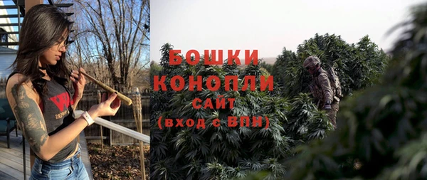 меф Вяземский