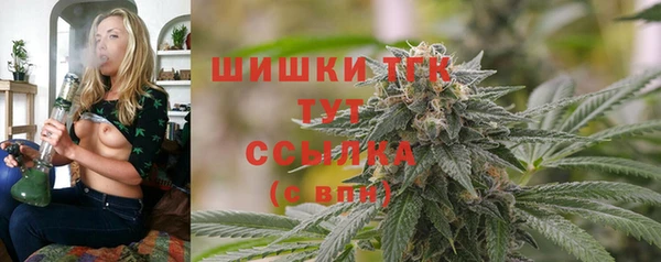 меф Вяземский