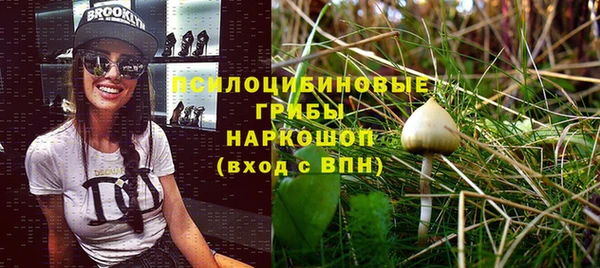 меф Вяземский