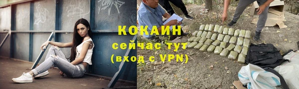 меф Вяземский