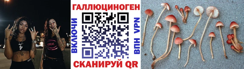 Галлюциногенные грибы Psilocybine cubensis kraken как войти Петушки где продают наркотики